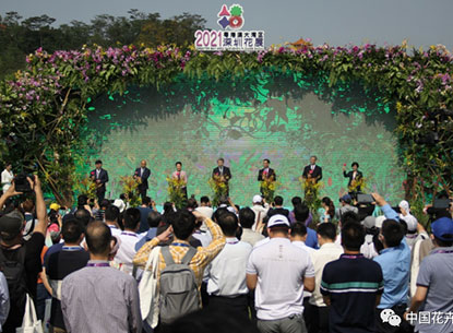 一頭扎進(jìn)花花世界，2021粵港澳大灣區(qū)深圳花展今日開幕